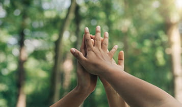 Hands